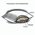 Konstrukcja poduszki trzykomorowej