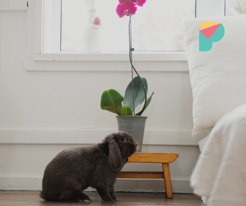 ozdoby wielkanocne sypialnia