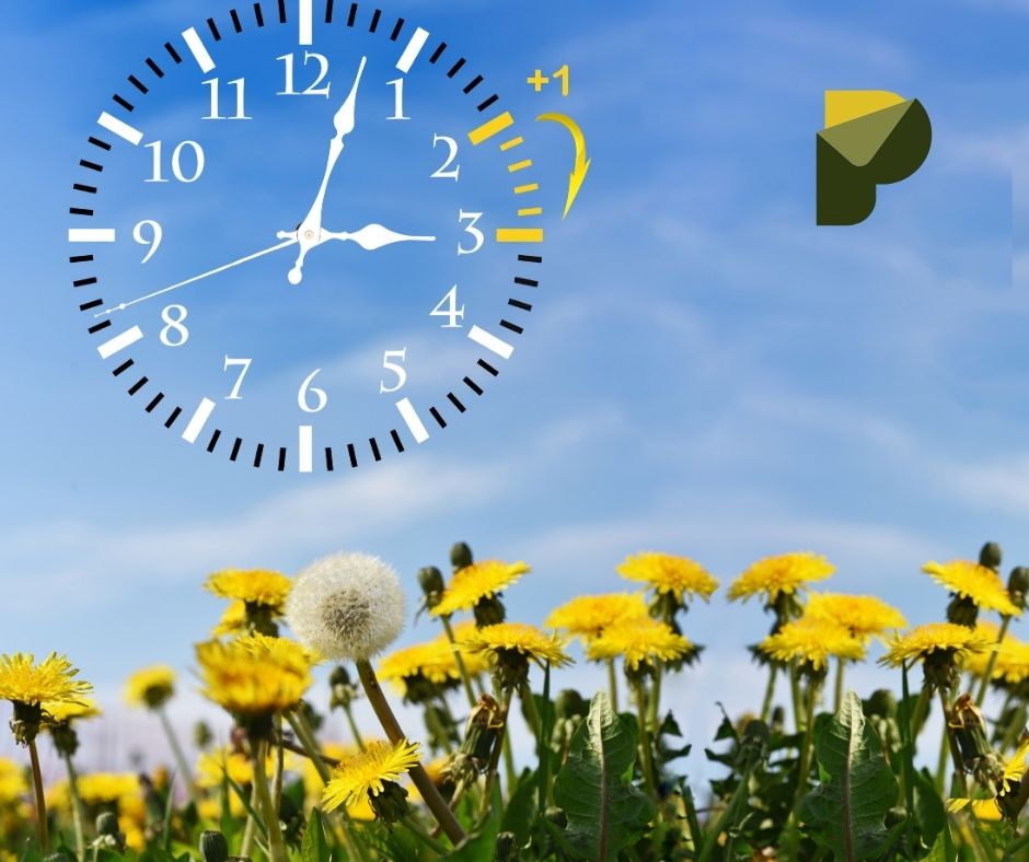 zmiana czasu